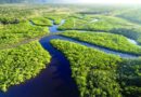 No Dia da Amazônia, Lula vai assinar demarcação de terras indígenas e áreas de proteção