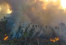 Municípios da BR-319 concentram 40% dos focos de calor durante temporada do fogo no Amazonas