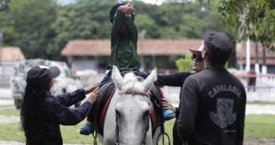 Núcleo de Equoterapia da Policia Militar do Amazonas atende mais de 160 pessoas com deficiência