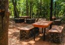 Uberlândia ganha primeiro parque dentro de floresta preservada